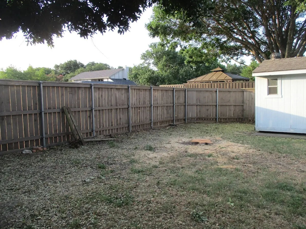 Cleared yard after professional tree removal in Miller City